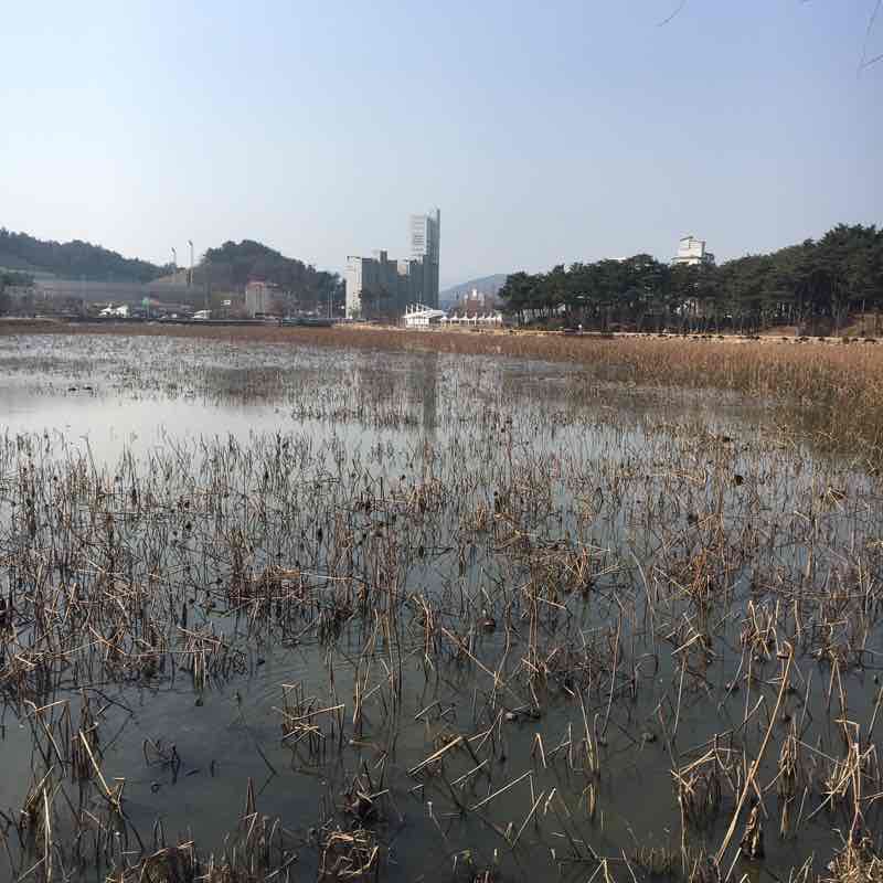 Uljin Yeonho walking route map in Uljin