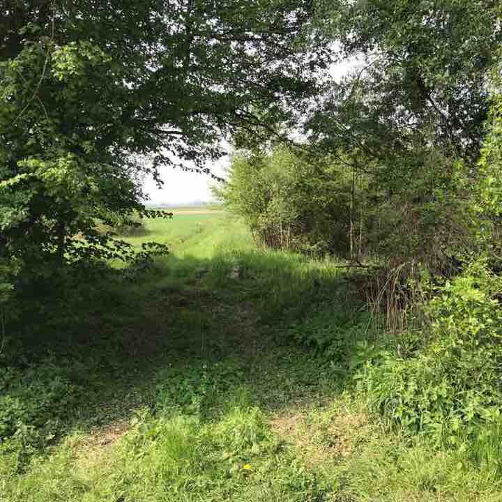 Bildsteckel & Waldlehrpfad walking route map in Leimersheim