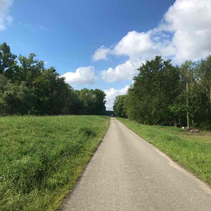 Fischerweg walking route map in Leimersheim