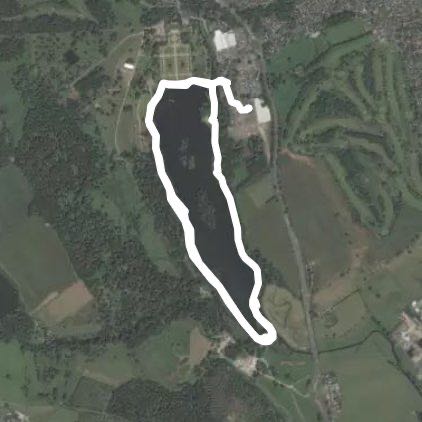 Trentham Gardens lakeside critters