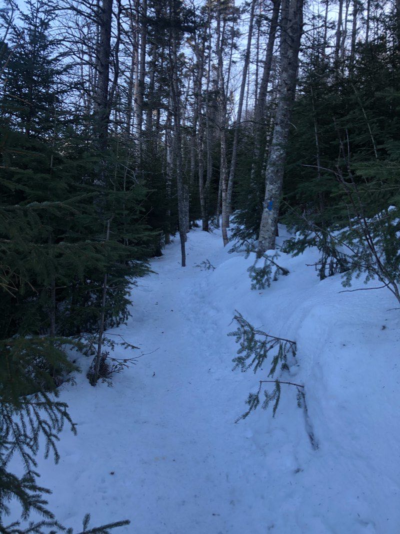walking near me in Lafayette Brook Scenic Area in winter