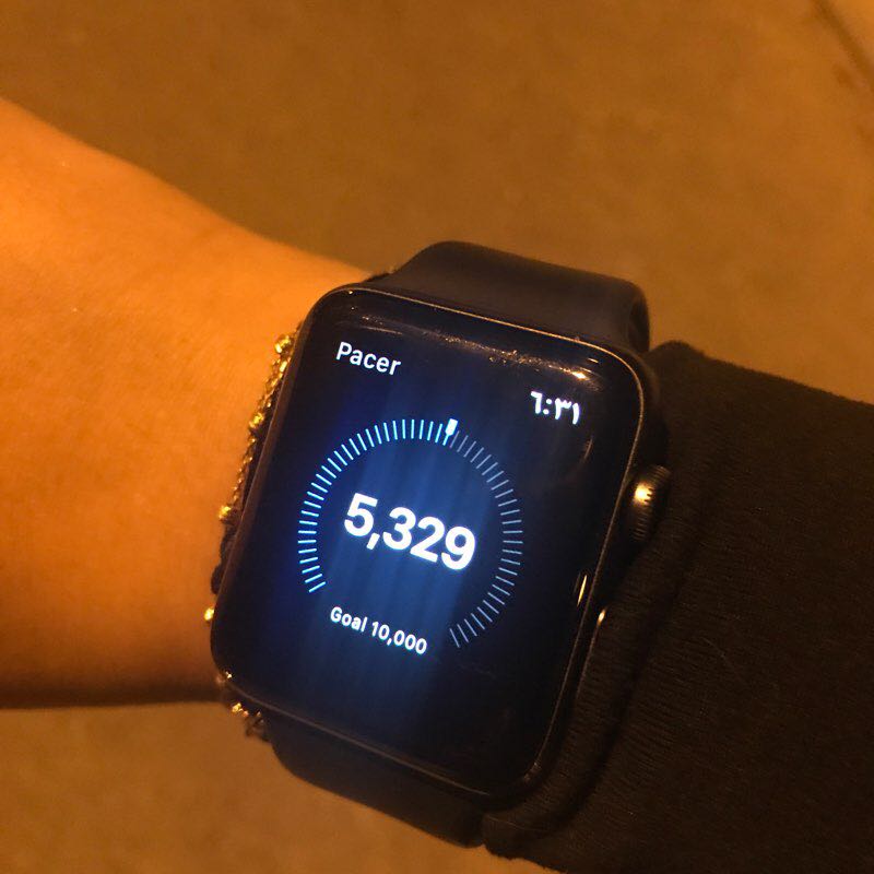 ممشى سور قصر بيان