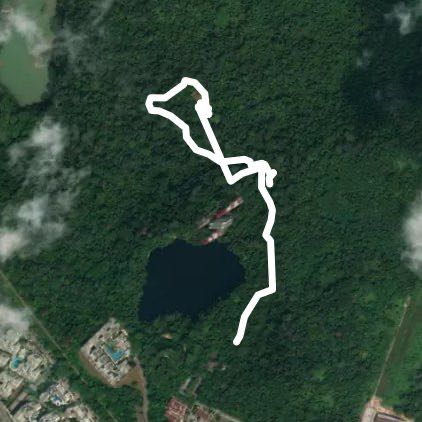 Bukit Timah Nature Reserve