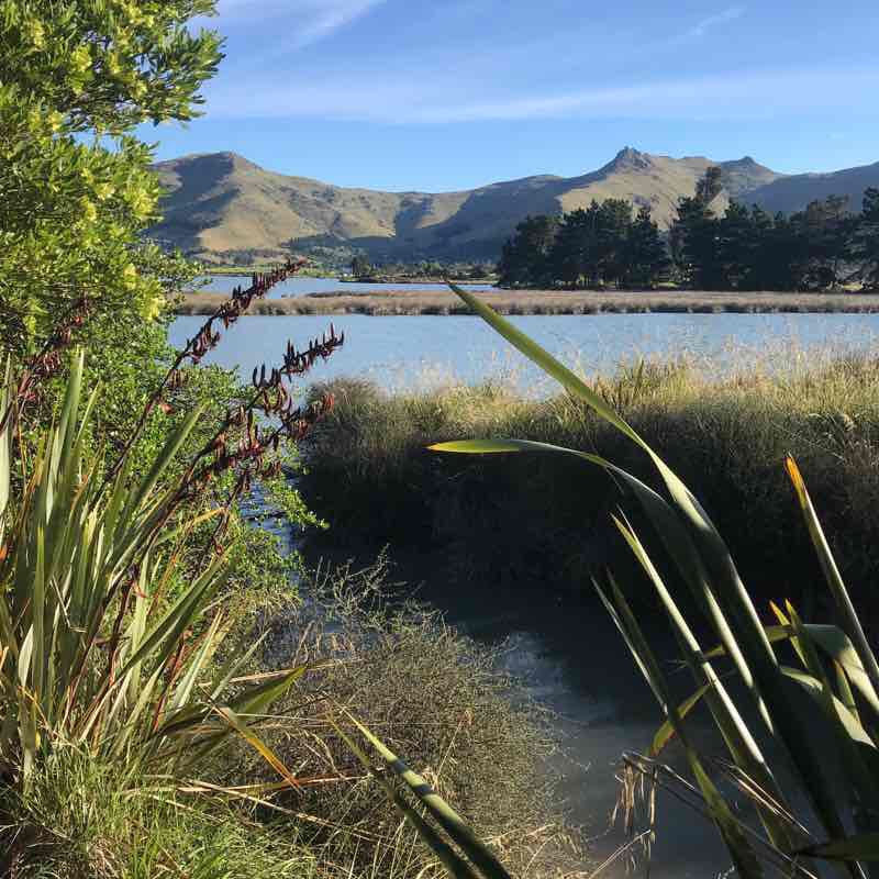 Heathcote and Avon River Estuary - Shoreline walking route map in Christchurch