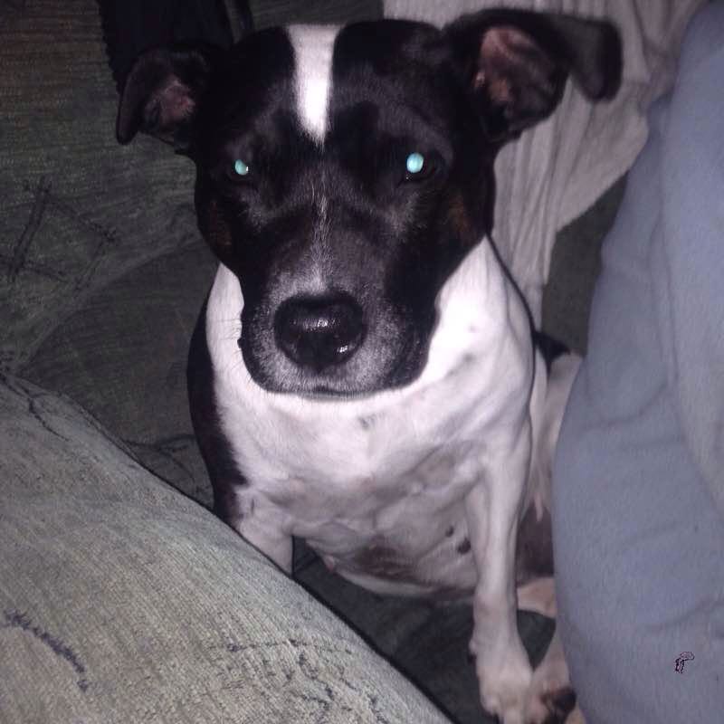 South Bretton trek (2)