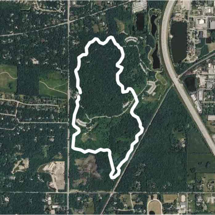 Old School Yellow Trail