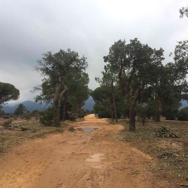 Lake of the escarcet walking route map in Le Cannet-des-Maures
