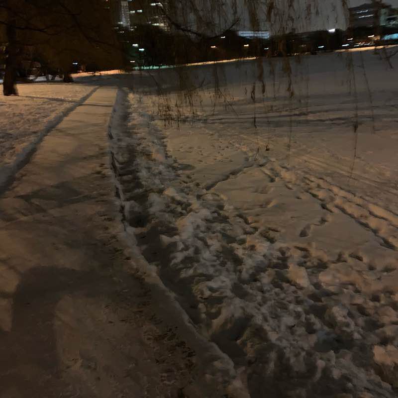 Вдоль прудов парка Дружбы