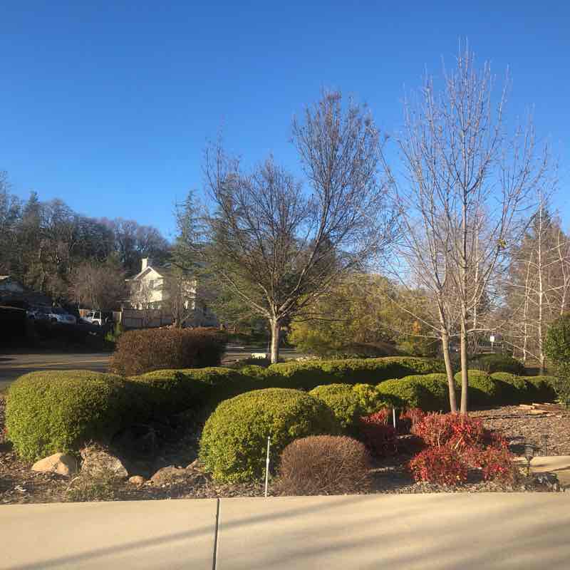 Hilly neighborhood in the foothills. Cameron Park