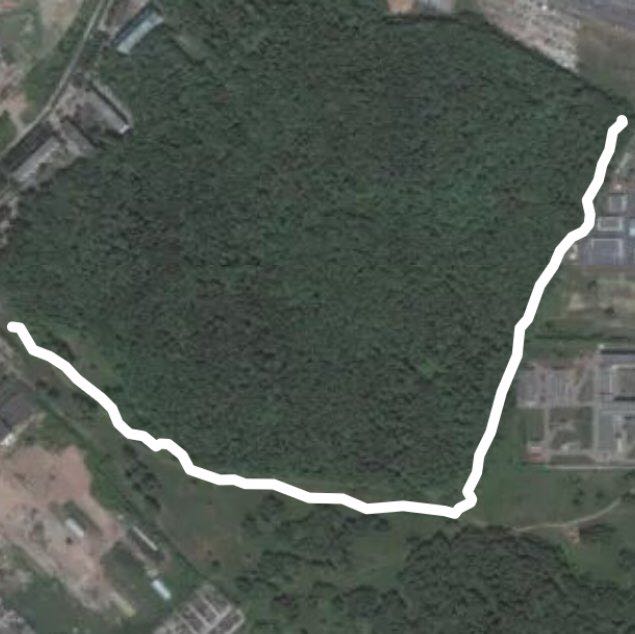 Прогулка на 20 минут