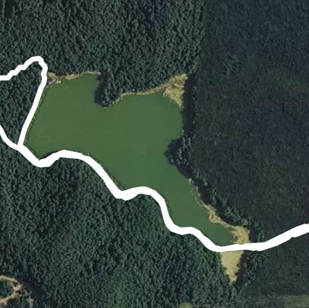 Photo-Walk on Otter Creek Road