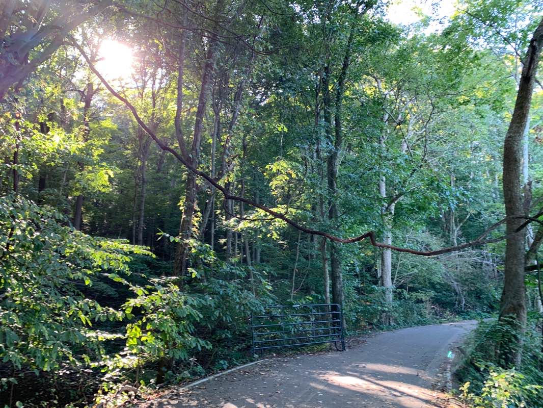 PhotoWalk on Otter Creek Road Nashville, Tennessee, USA Pacer