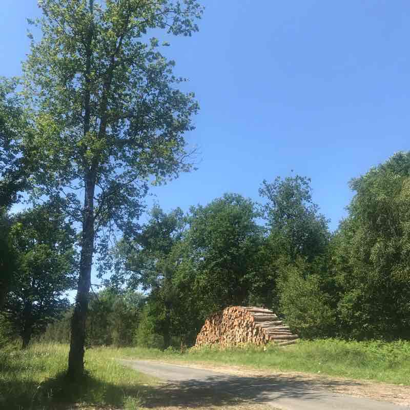 Buckle in the forest of Barade walking route map in Bars