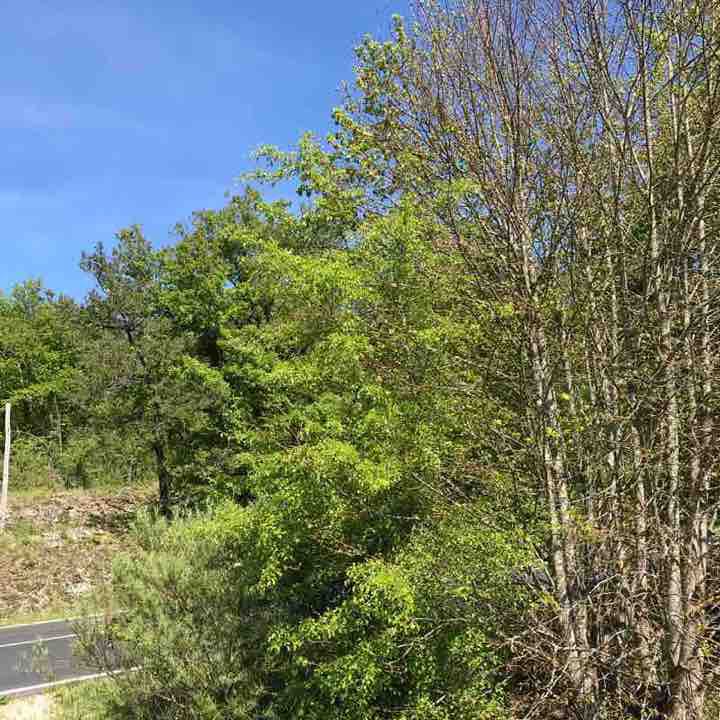 Loop to the Filolie walking route map in Coly-Saint-Amand