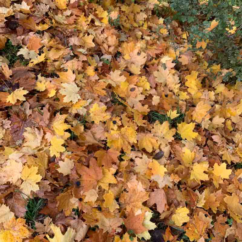 Course autour du lac