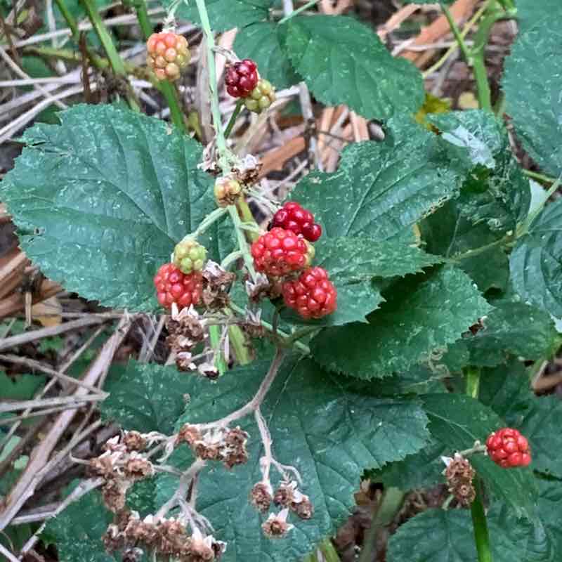Autour de la réserve naturelle