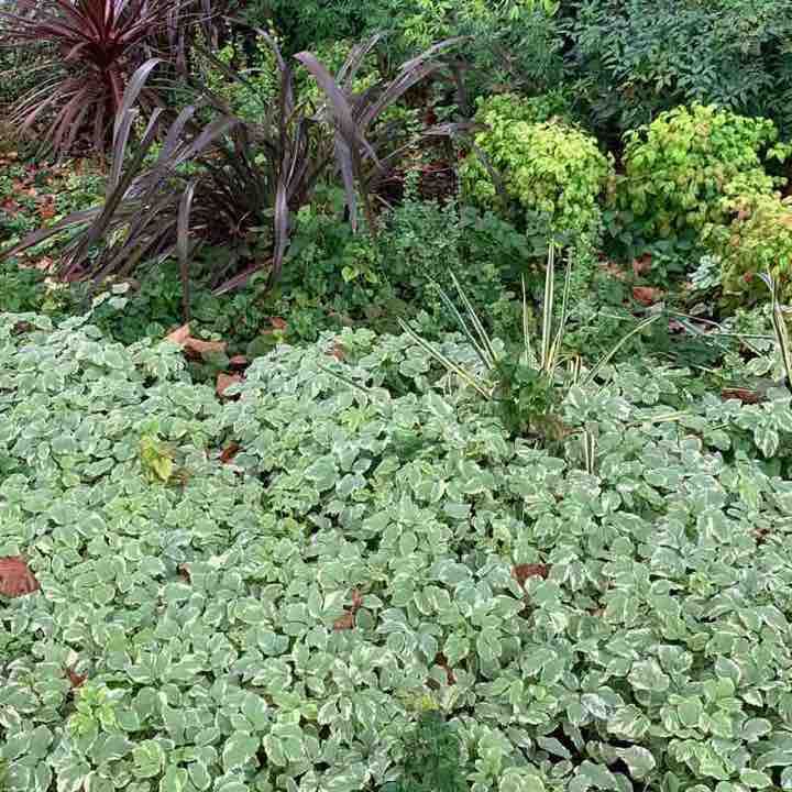 Sur la route d’une séance shopping 