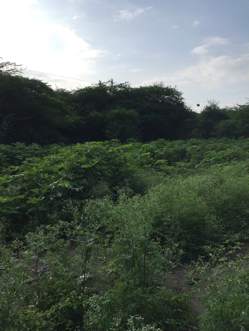 Fatima Nagar Pune Map Put A Walk Trail - Fatima Nagar, Pune, India | Pacer