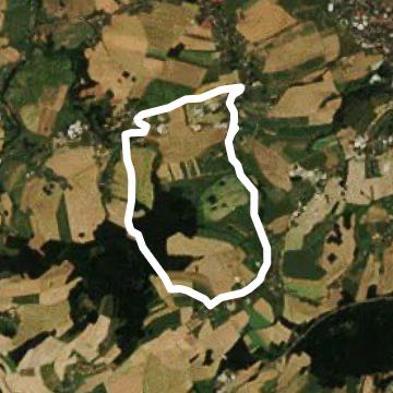 3 places tour walking route map in Zwickau