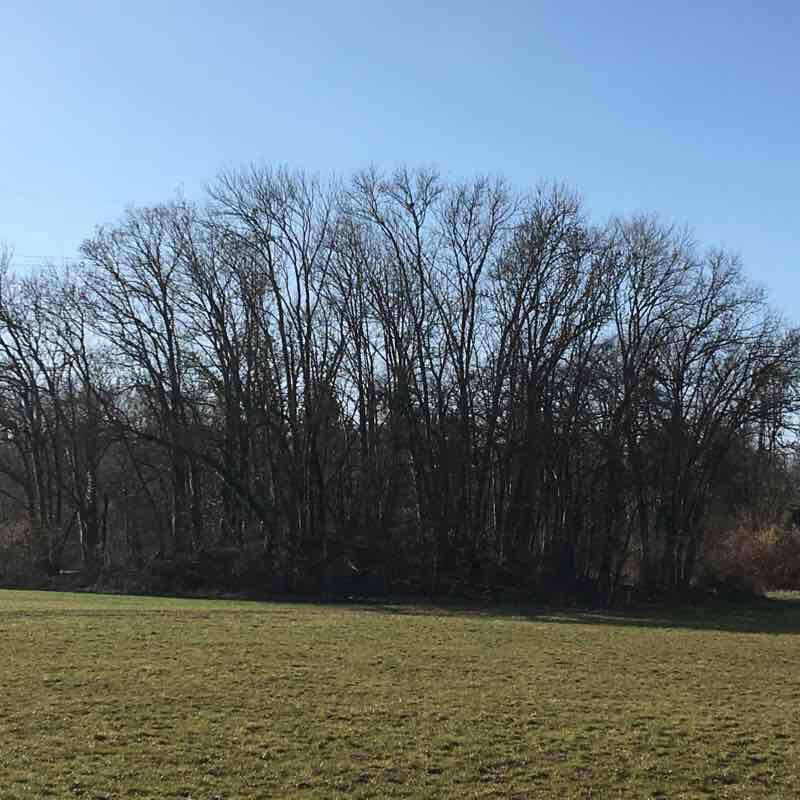 Round by Chevrier walking route map in Cornier