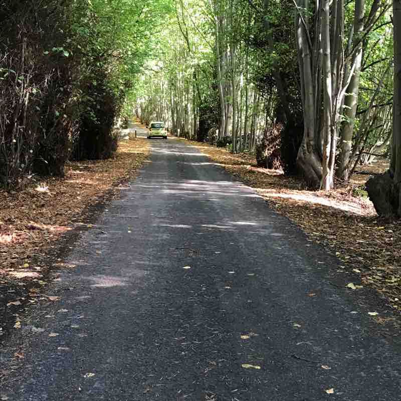 Tranquil  walking route map in Westleton