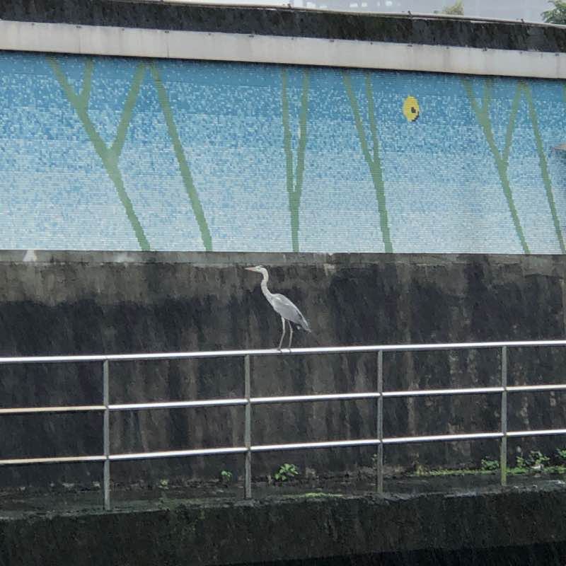 Keelung River Right Bank Trail