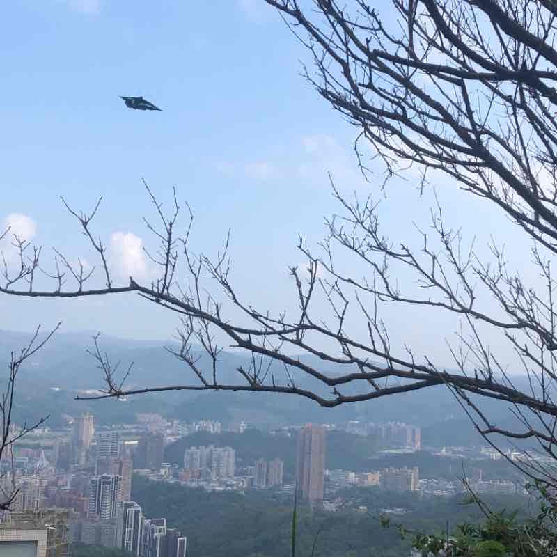 Dajian Mountain loop