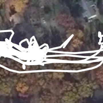 Cleaning chicken coop 🐓