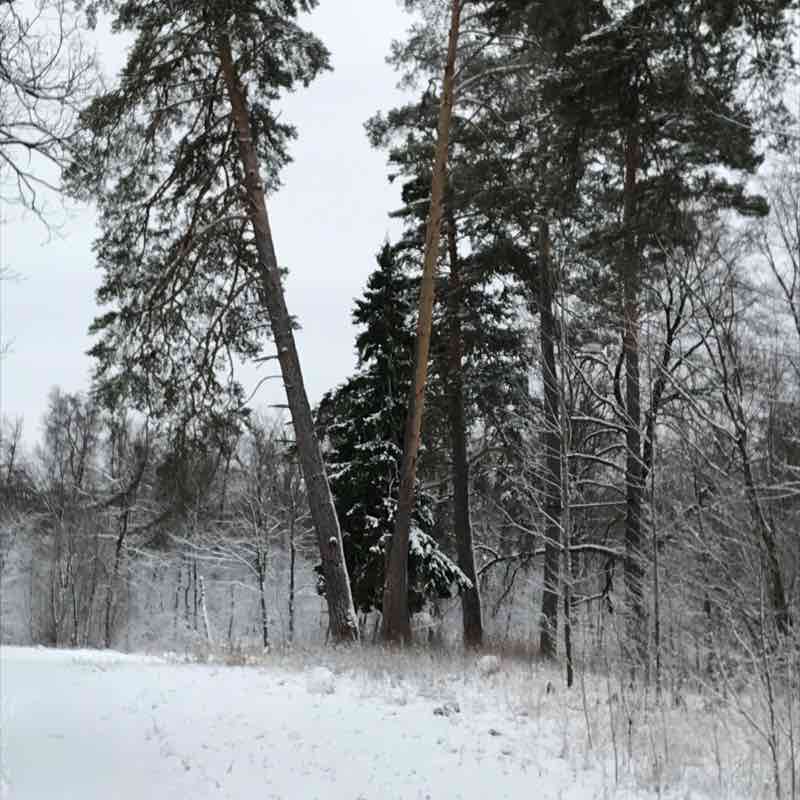 Аллея здоровья