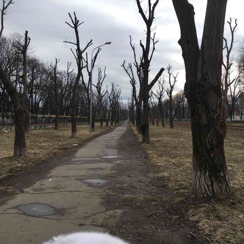 С Аланом на Водную