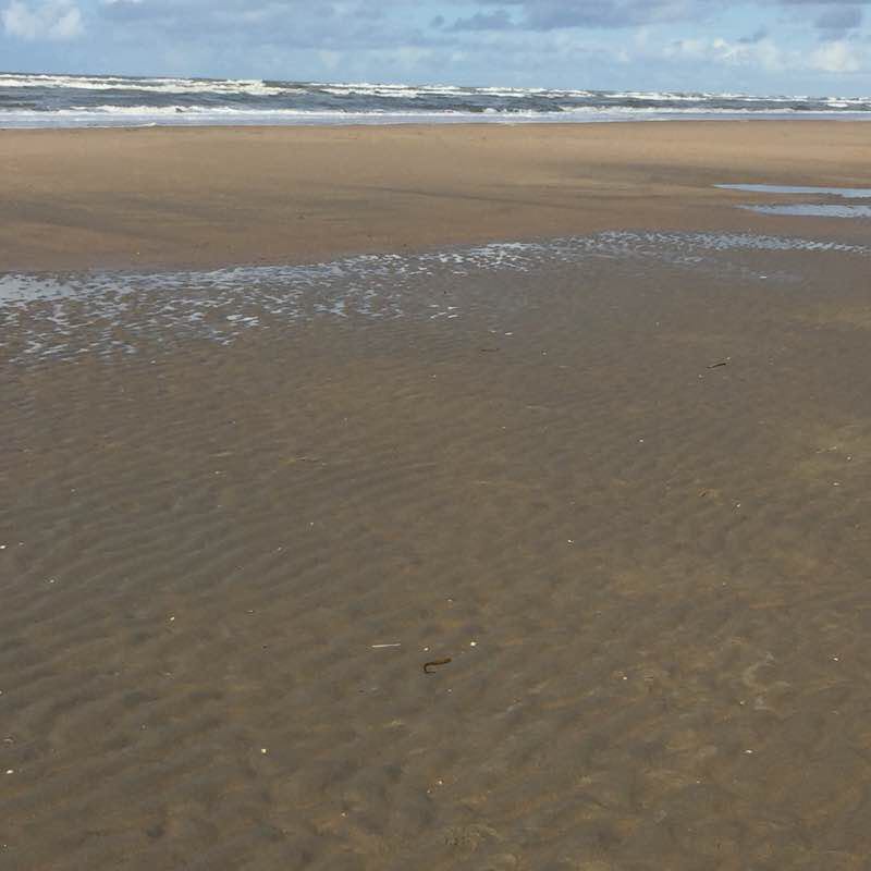 North Sea walking route map in Zandvoort