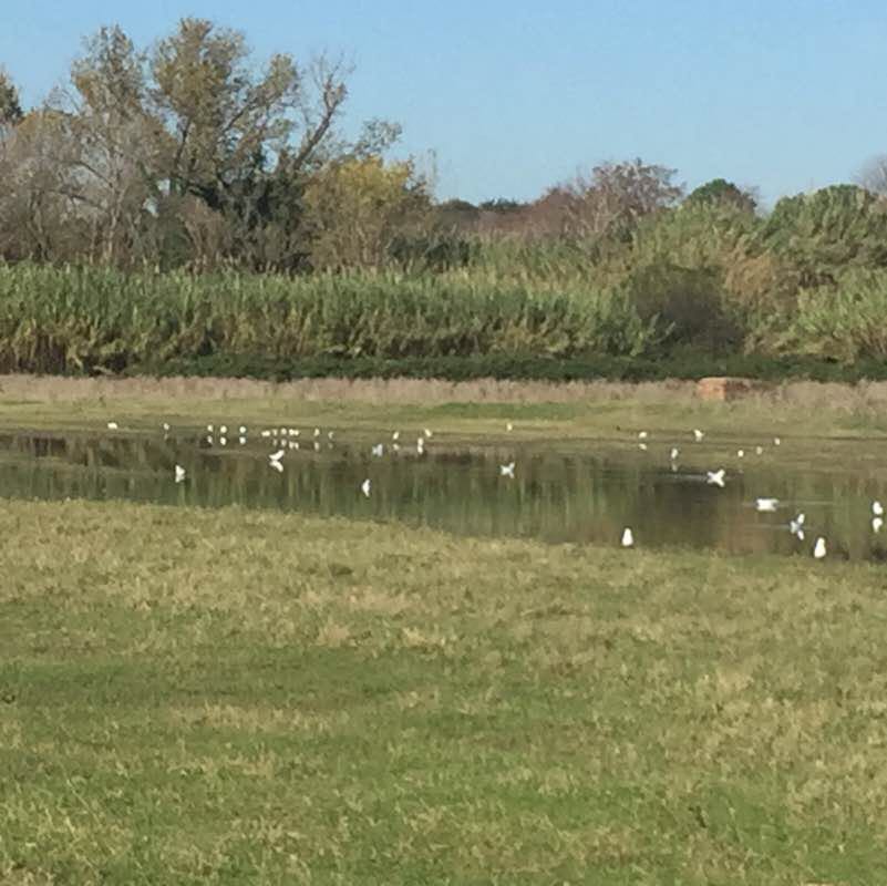 Parco della Caffarella Roma