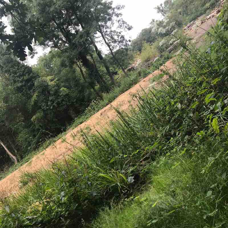 King Georges Park Walk walking route map in Ingrave