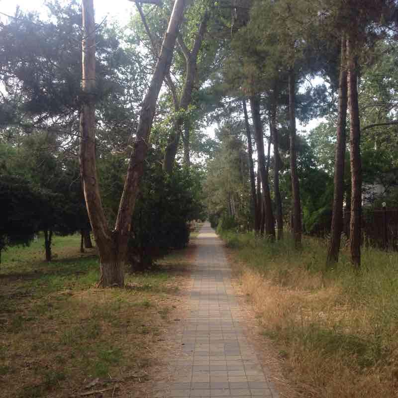 Pioneer Avenue Anapa walking route map in Anapa