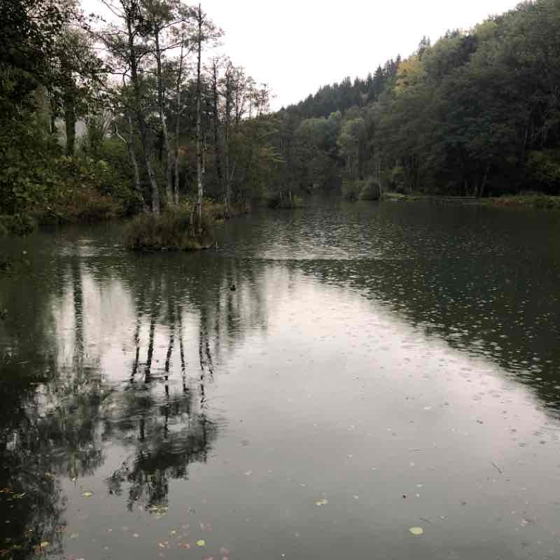 balade sous la pluie