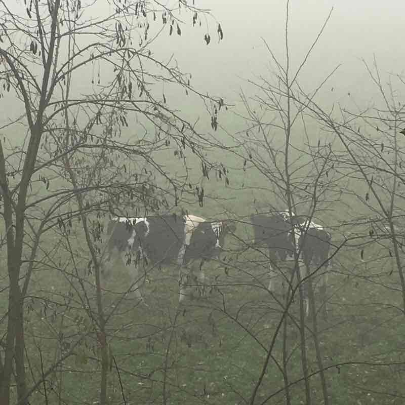 Percorso di Salva nr . 11