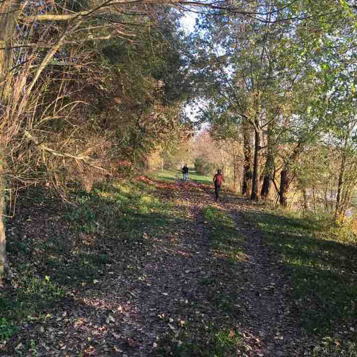 Save path nr: two walking route map in Mantova