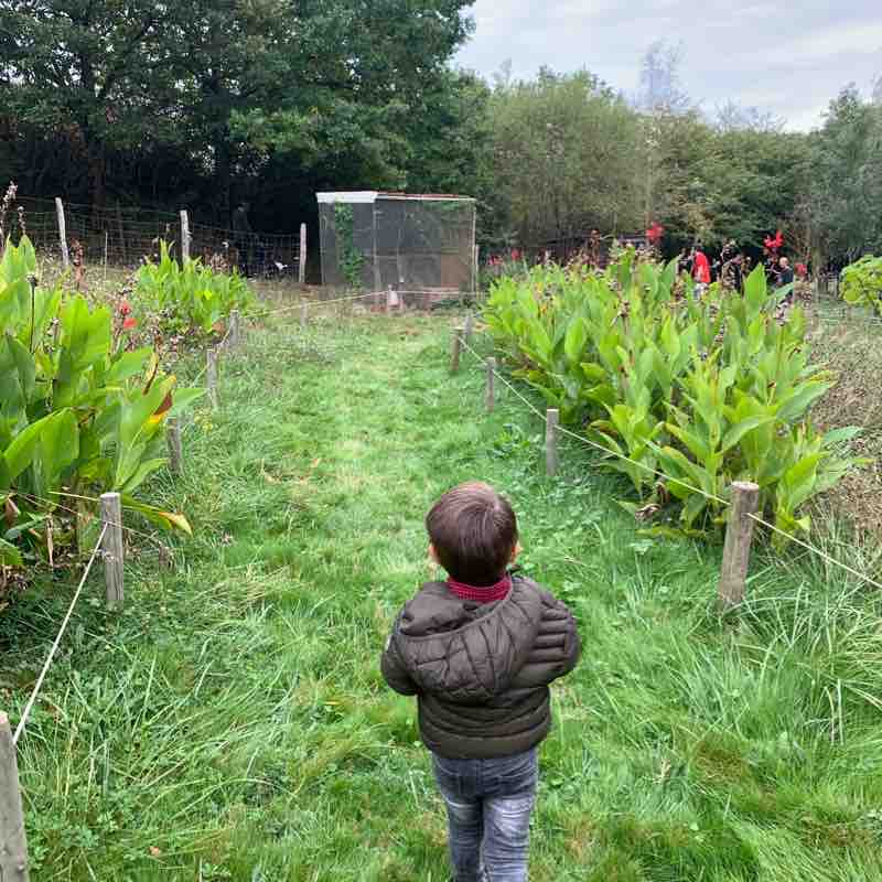 False walking route map in Teilhet