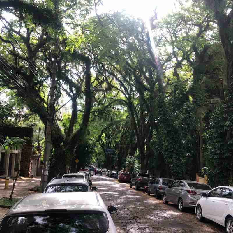 A Rua Mais Bonita do Mundo / Gonçalos de Carvalho