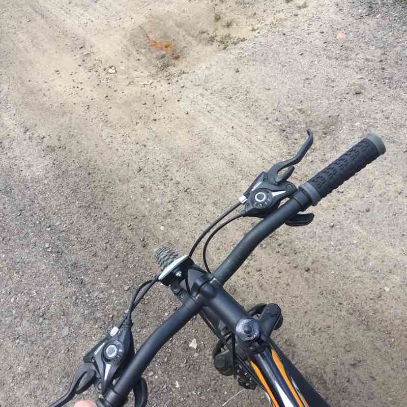 Forest and nature walking route map in Krivandino