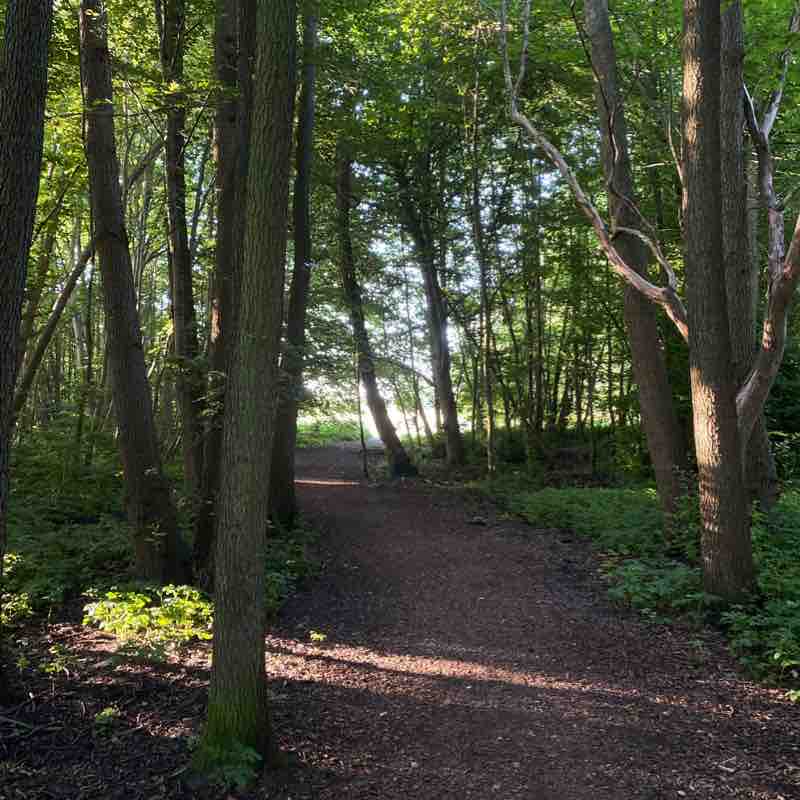 Bagsværd Sø Radioparken walk