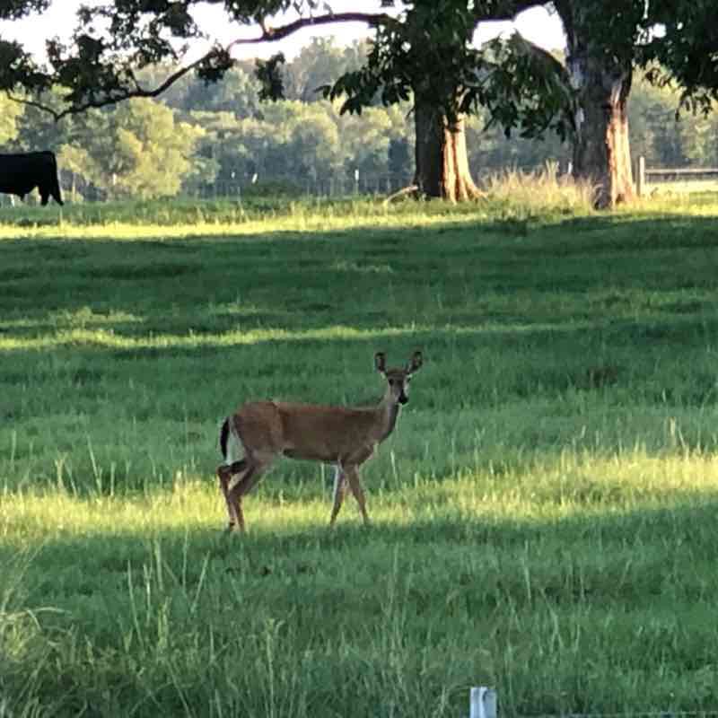 5k Ranch walk walking route map in Edison