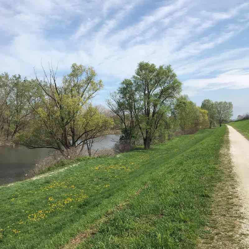 Lungargine Brenta Cadoneghe-Torre walking route map in Case Trevisan