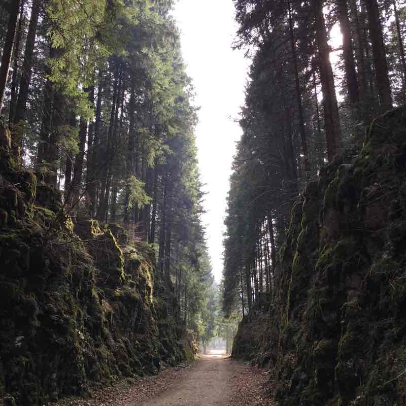 Asiago: Trenino path walking route map in Cassordar