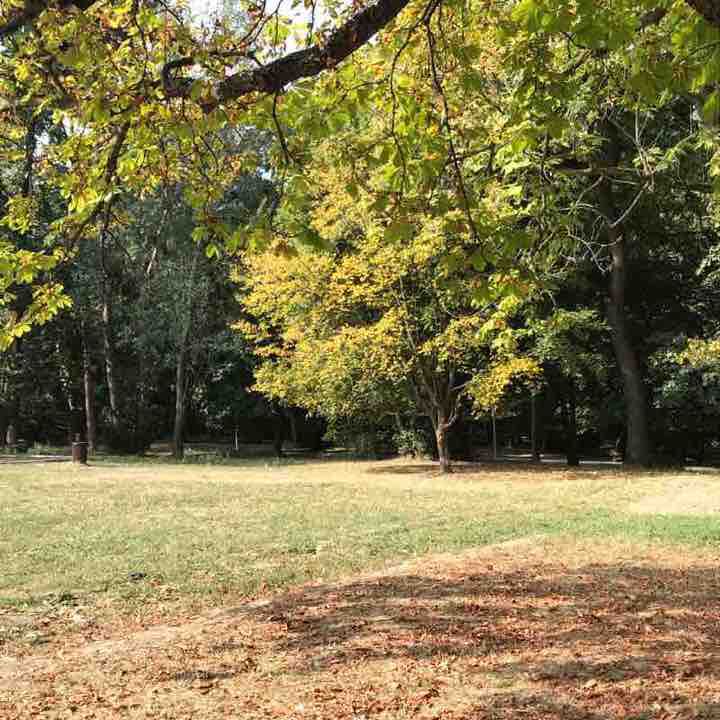 Sibiu walking route map in Sibiu