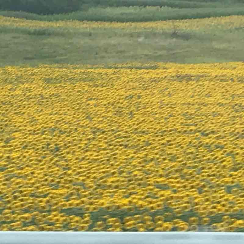 Sibiu walking route map in Sibiu