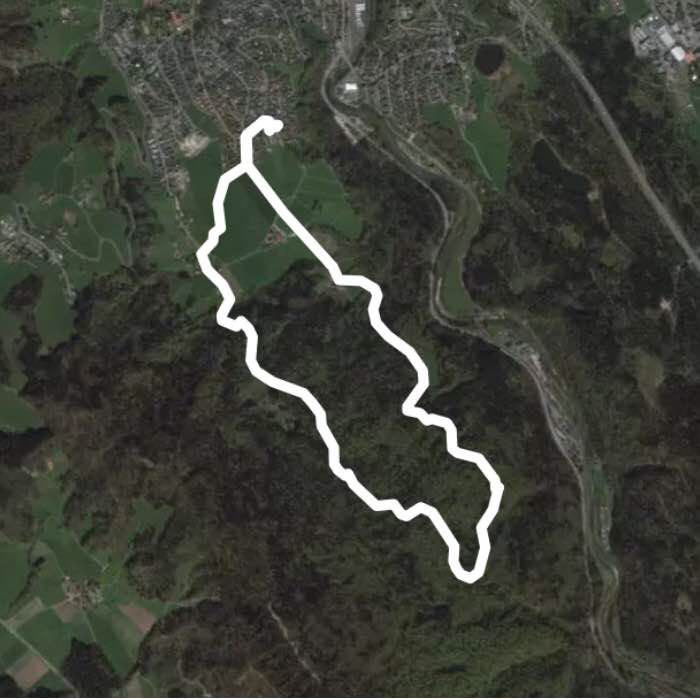 Small forest tour in the Sihlwald walking route map in Thalwil
