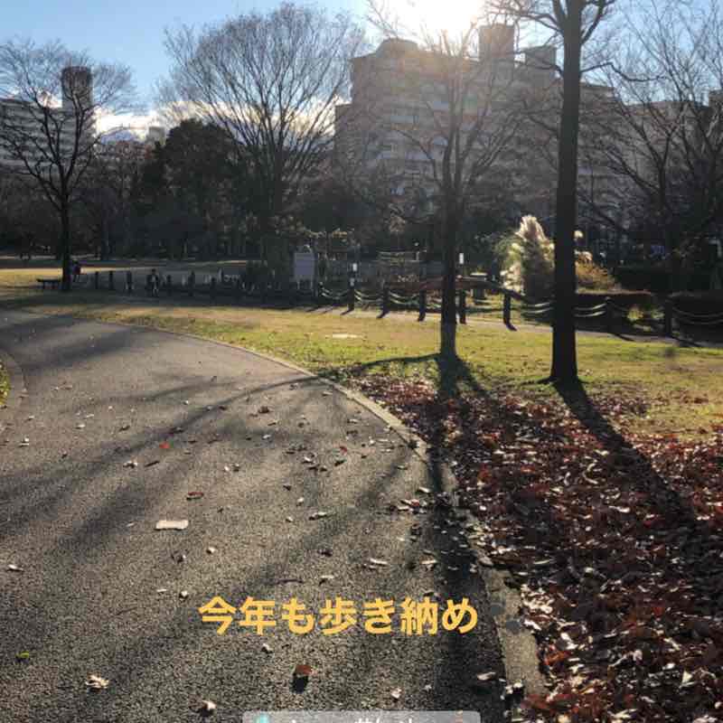 Higashiyamato Minami Park-Tamagawajosui Station-Higashiyamato City Gymnasium walking route map in Higashiyamato