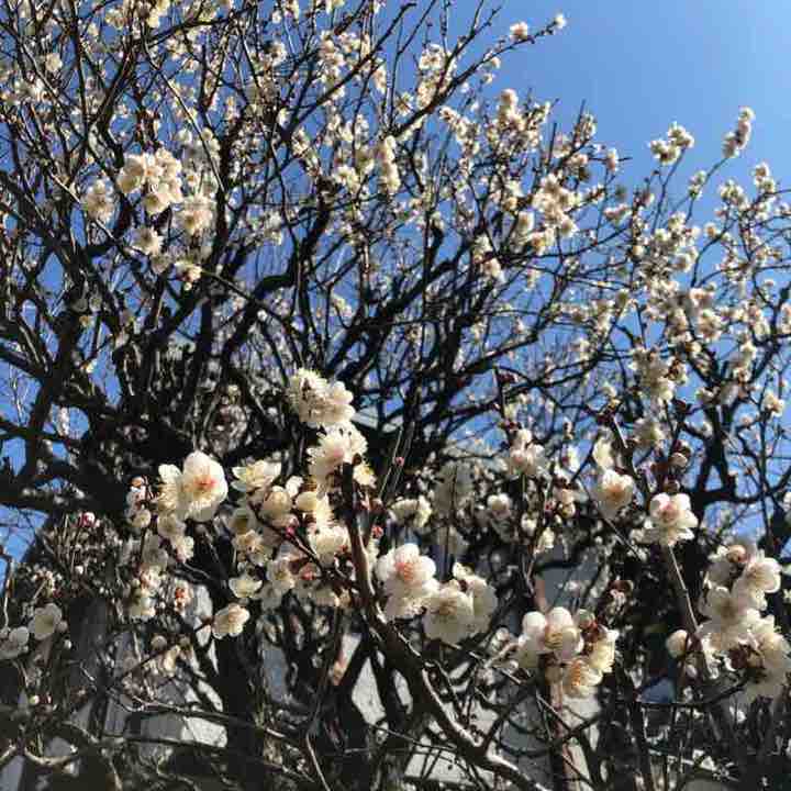 Katakura Station on the Yokohama LineKatakura Castle Remains Park