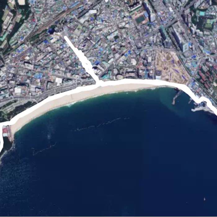 달맞이 & 동백섬